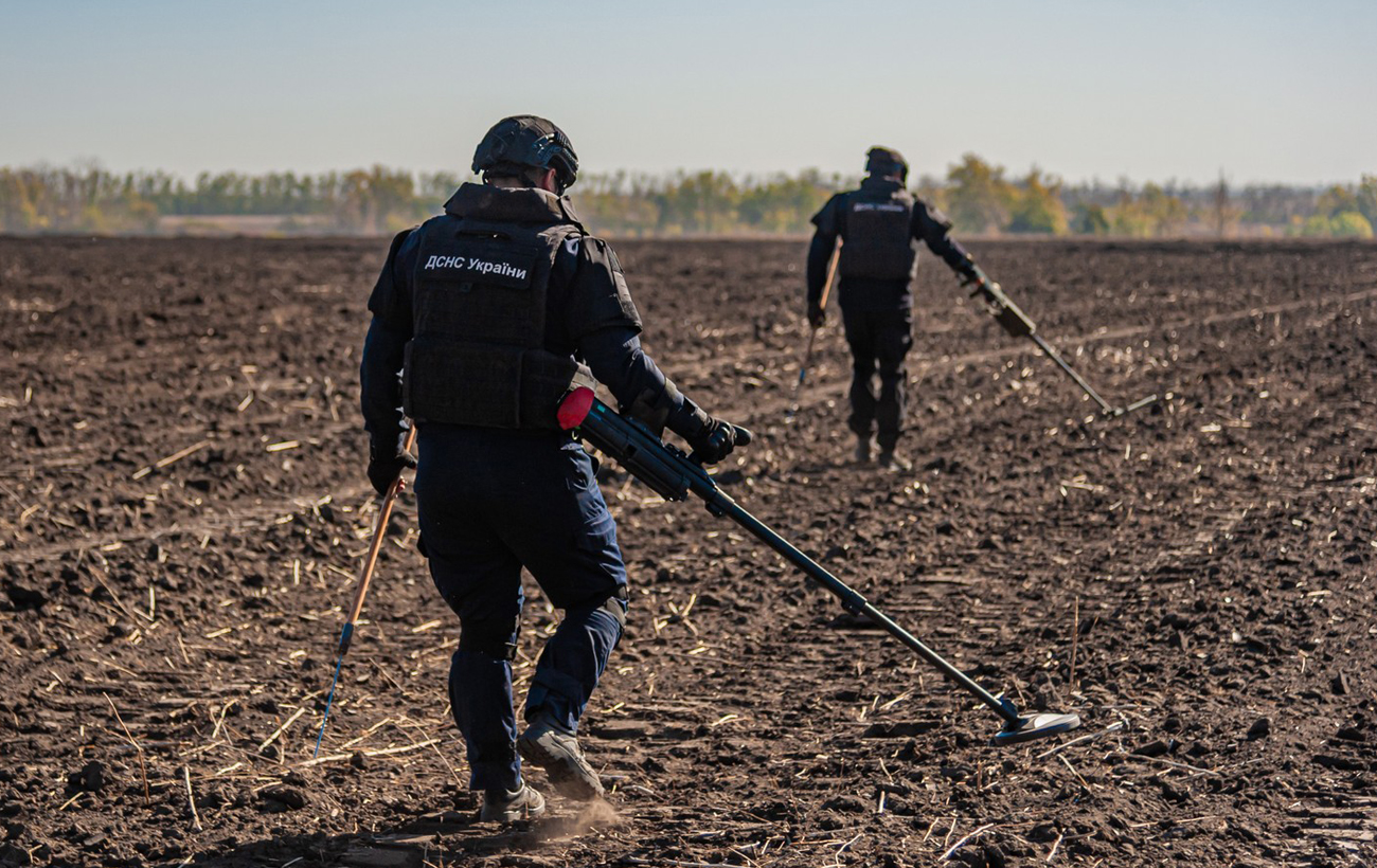 Академік НАН: На місці Каховського водосховища за 20 років виросте унікальний ліс